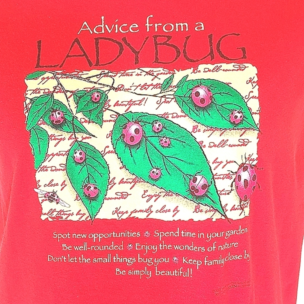 T-shirt short sleeve red graphic print ladybug crew neck L